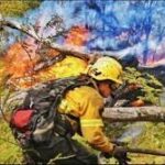 Parques Nacionales renovará los contratos de brigadistas de incendios forestales